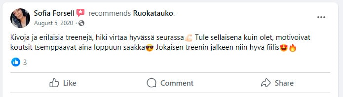 arvostelu4